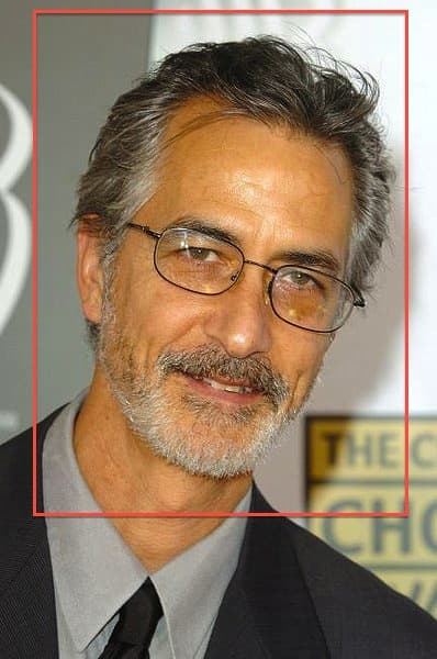 David Strathairn