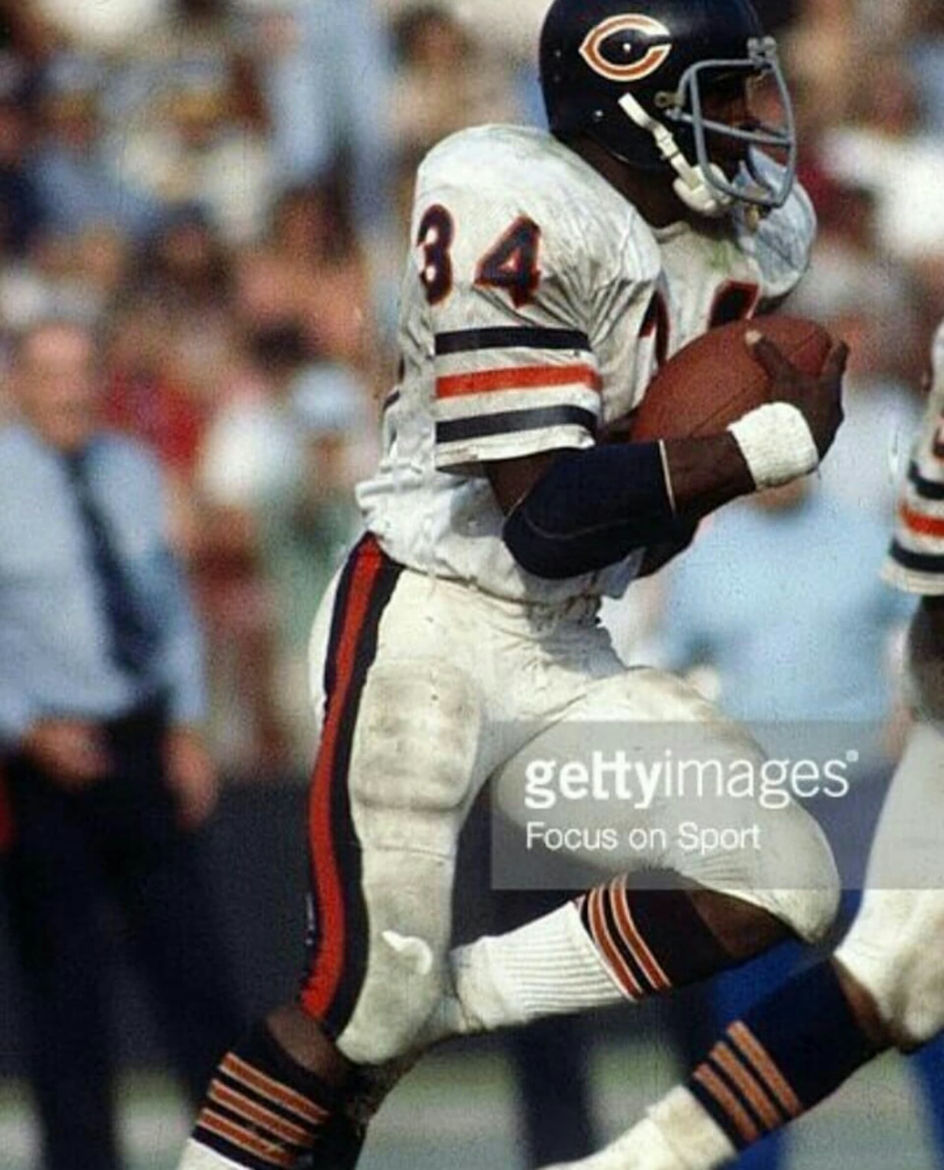 The Chicago Bears Players