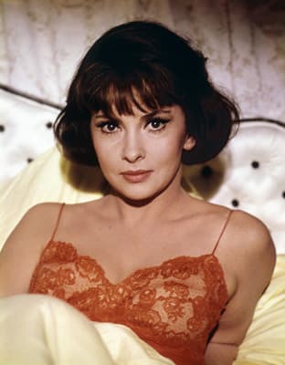 Gina Lollobrigida