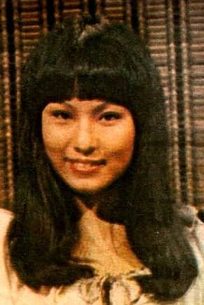 Wei-Ying Chen