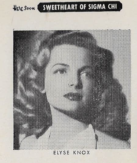 Elyse Knox