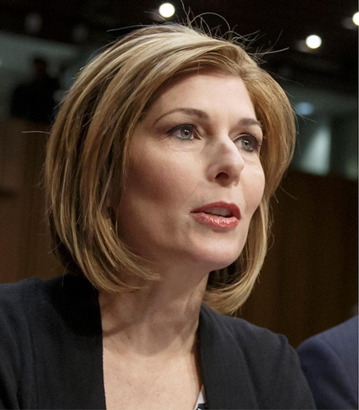 Sharyl Attkisson
