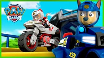 Best PAW Patrol Videos | Cartoons for Kids