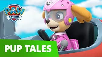 PAW Patrol Season 3 - Air Patrol and Jungle Rescues!