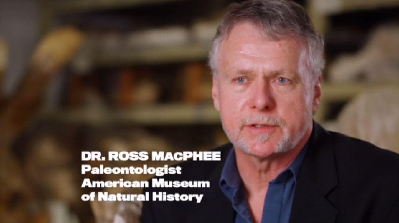Ross MacPhee