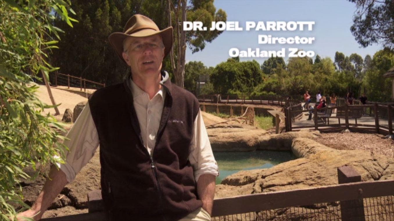 Joel Parrott