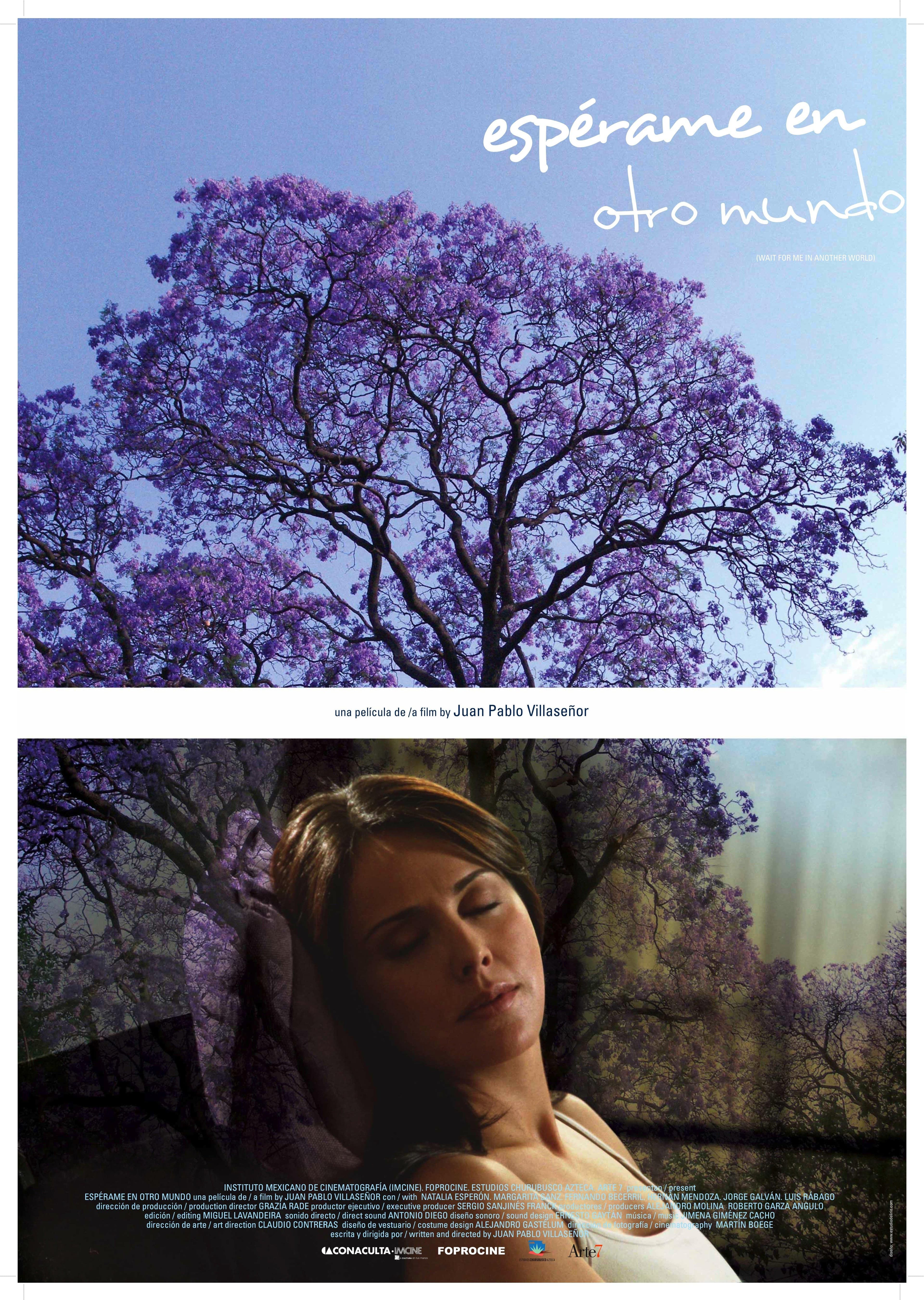 Espérame en otro mundo