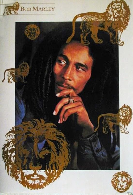 Bob Marley Live in Concert