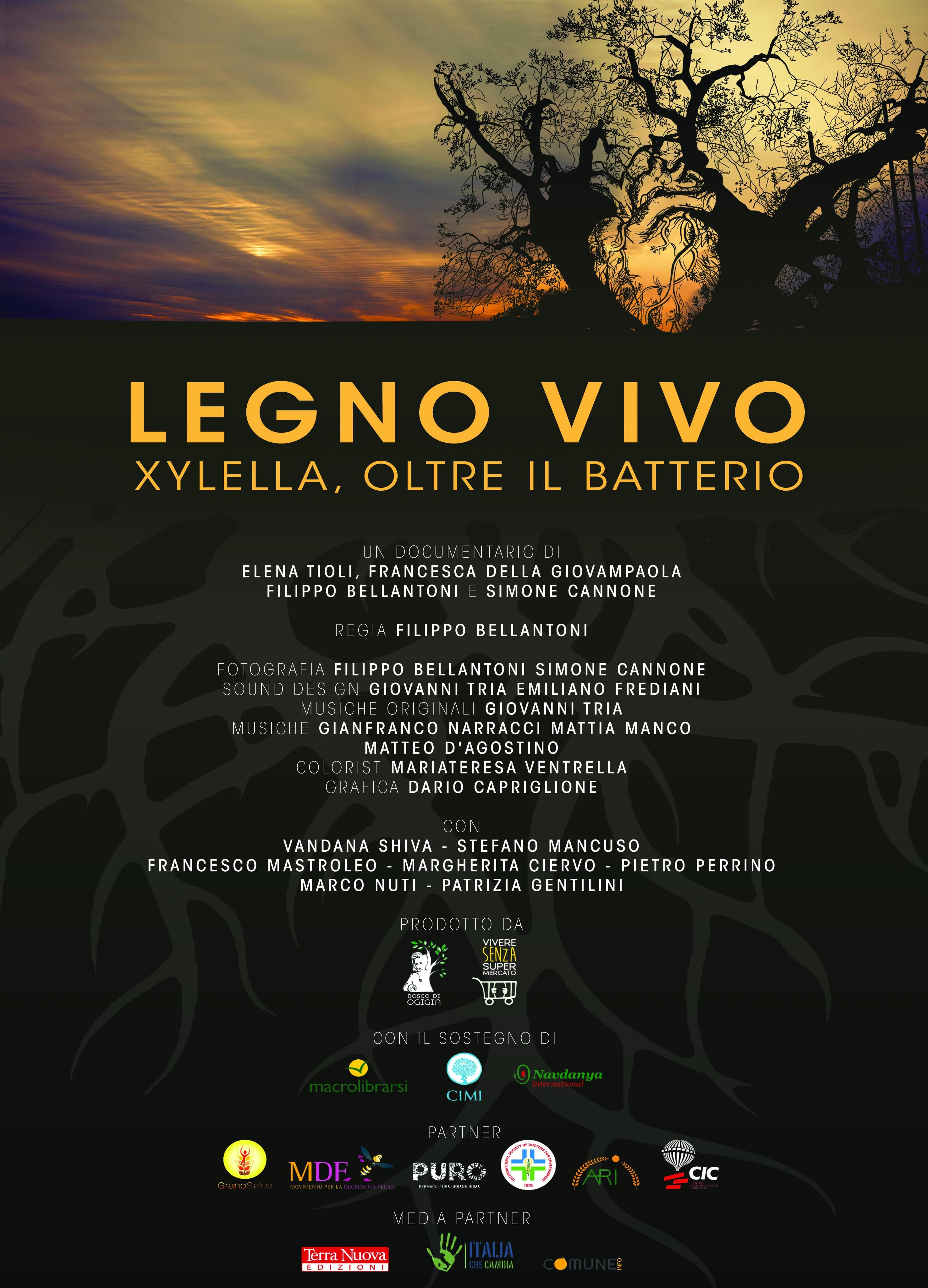 Legno vivo: Xylella, oltre il batterio