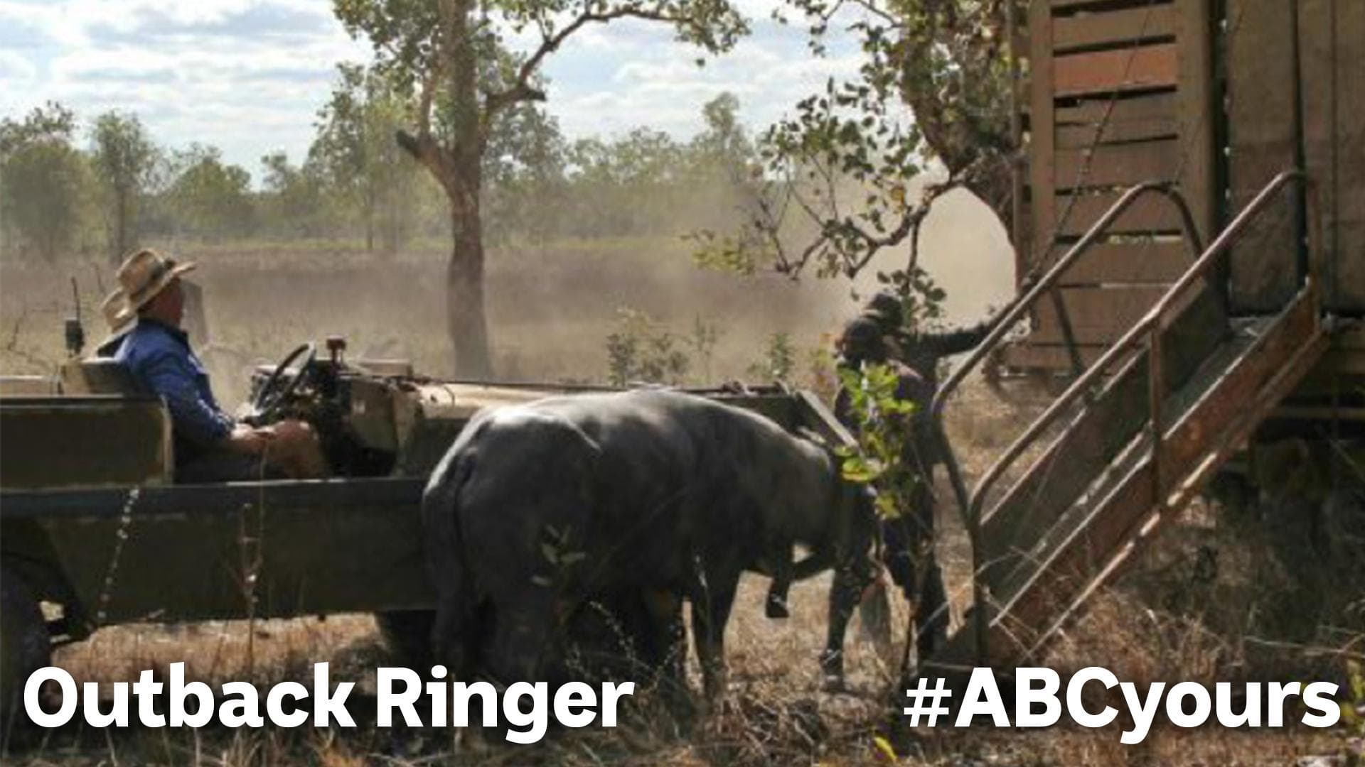 Outback Ringer S1-S2