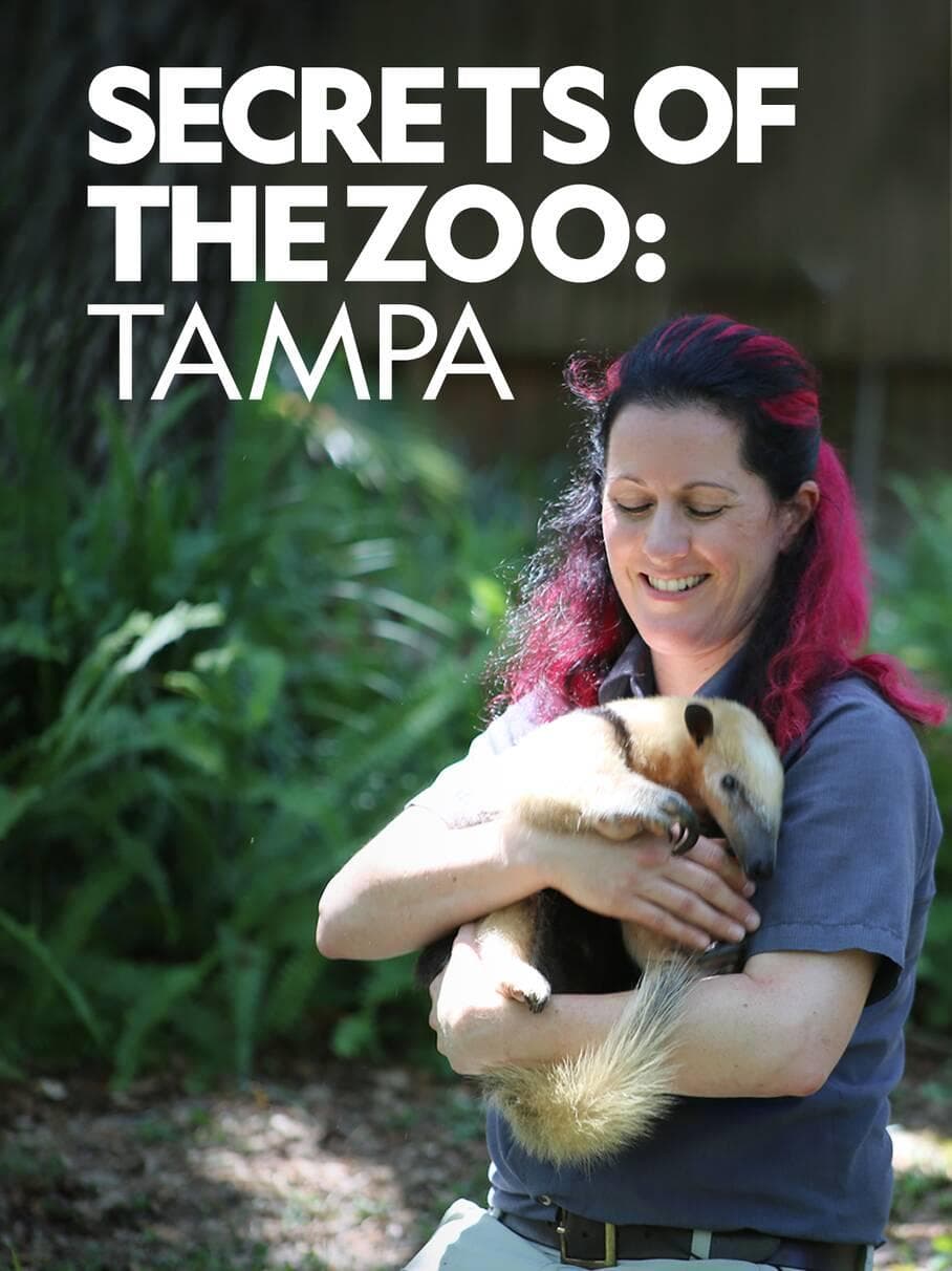 Secrets of the Zoo: Tampa S1-S4