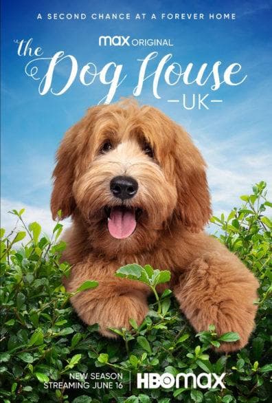 The Dog House S1-S8