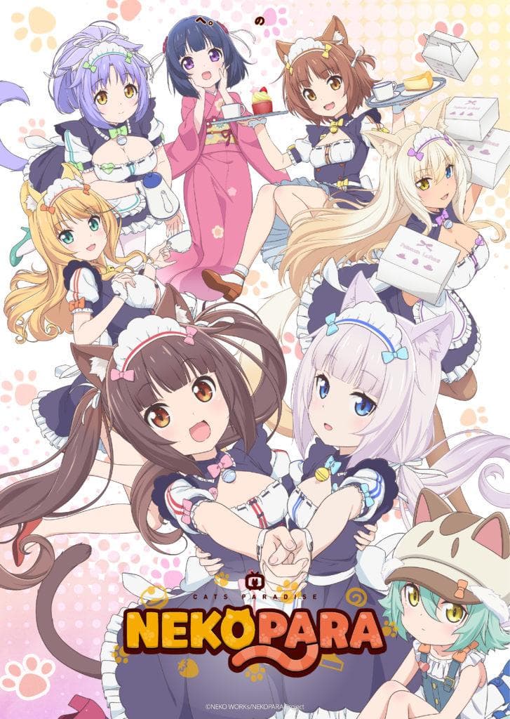 Nekopara [English]
