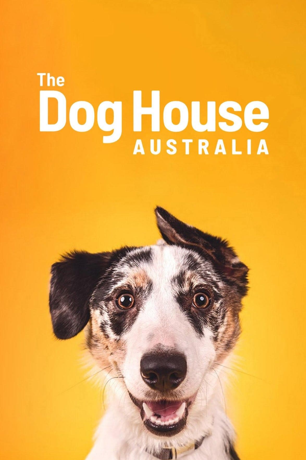 The Dog House Australia S1-S5