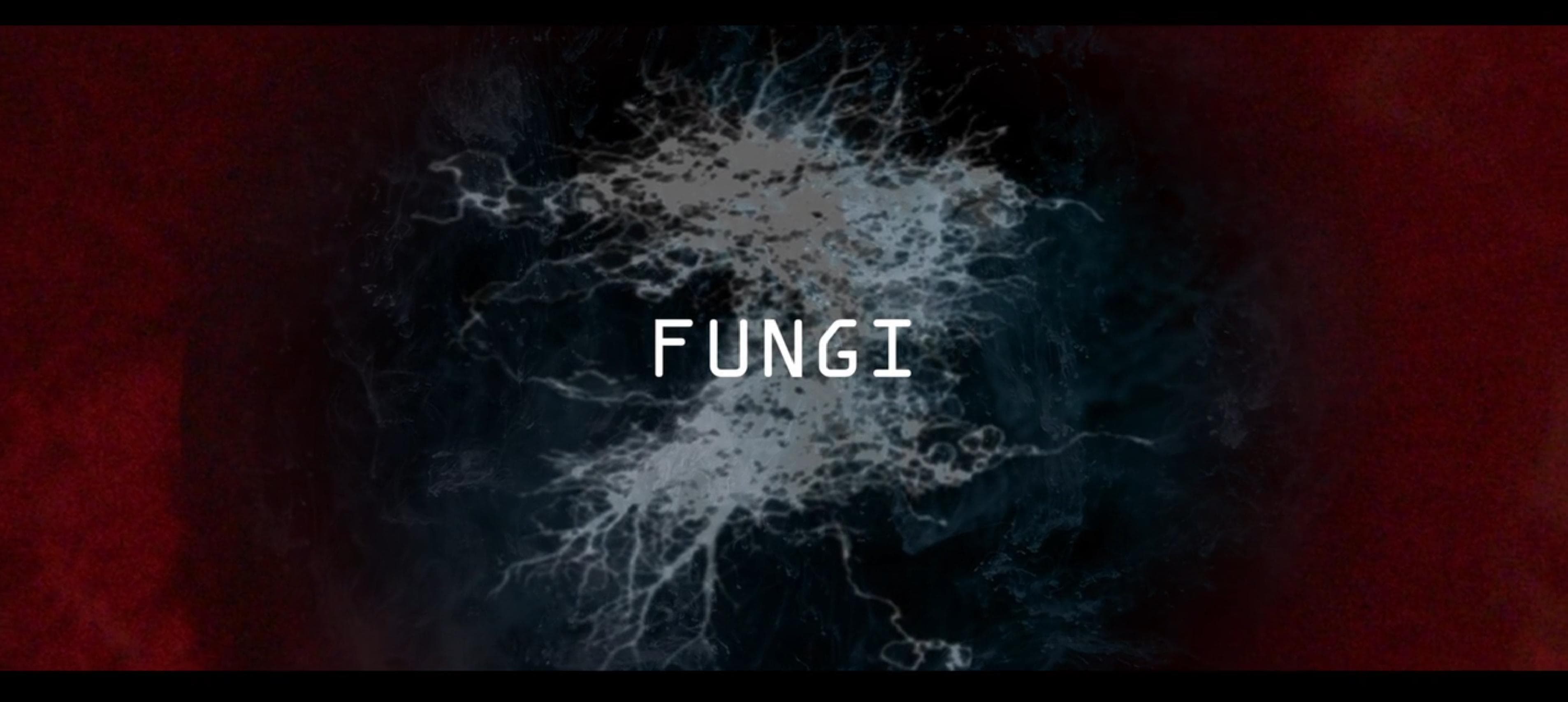 Fungi