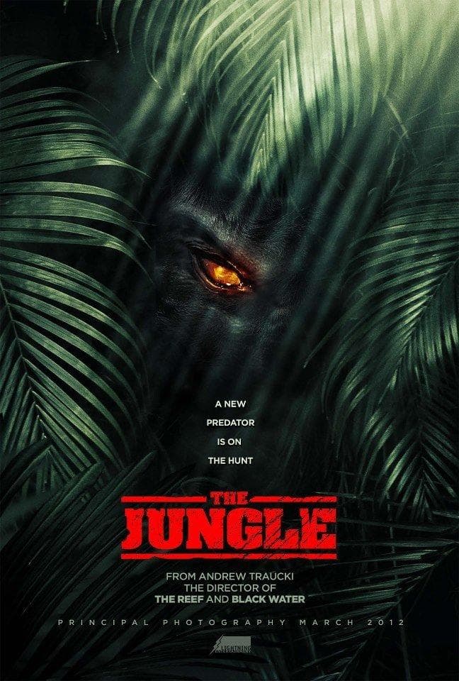 Jungle