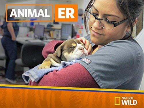 Animal ER S1-S2