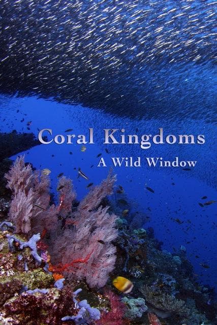 Wild Window: Coral Kingdoms