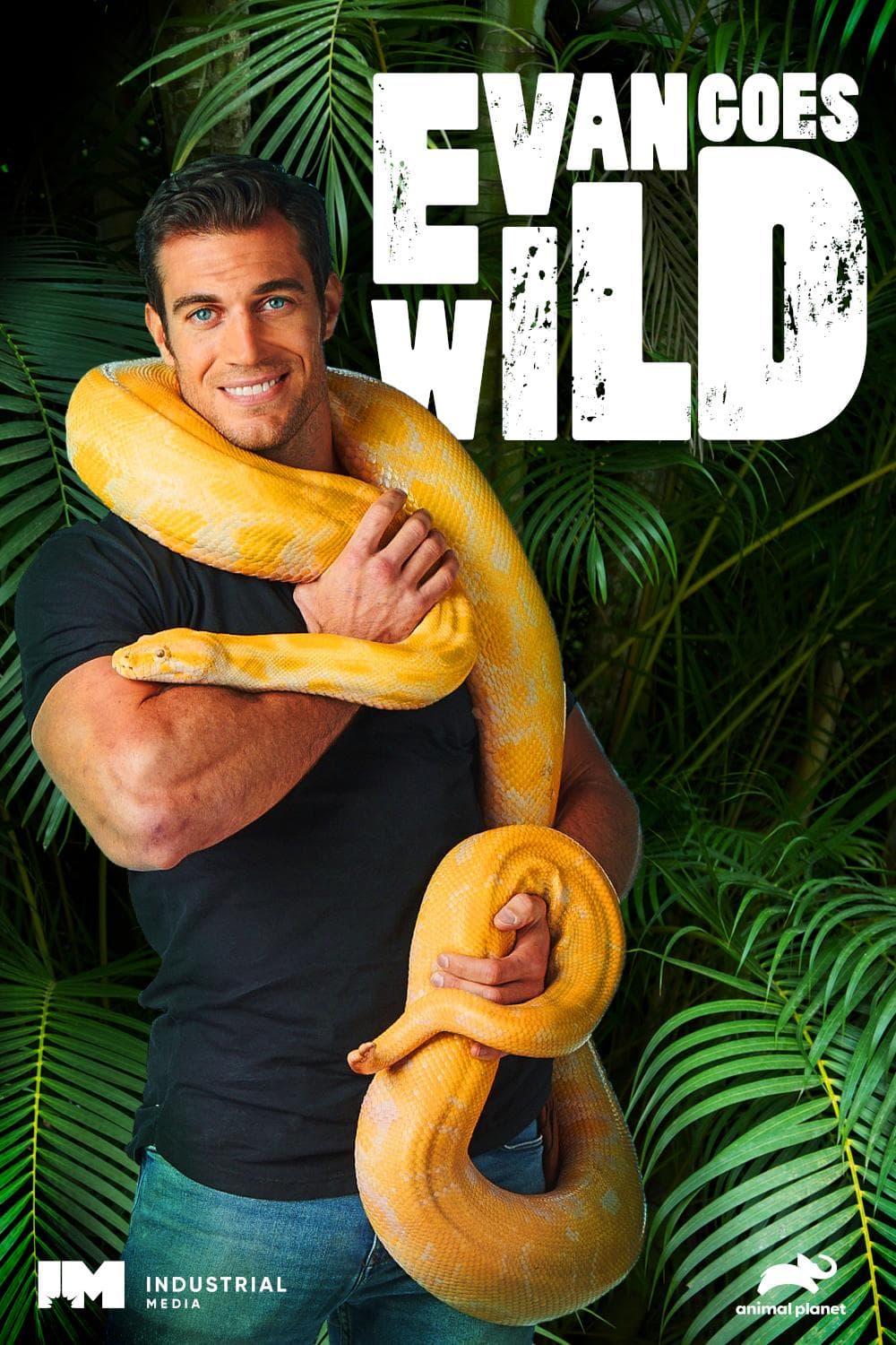 Evan Goes Wild