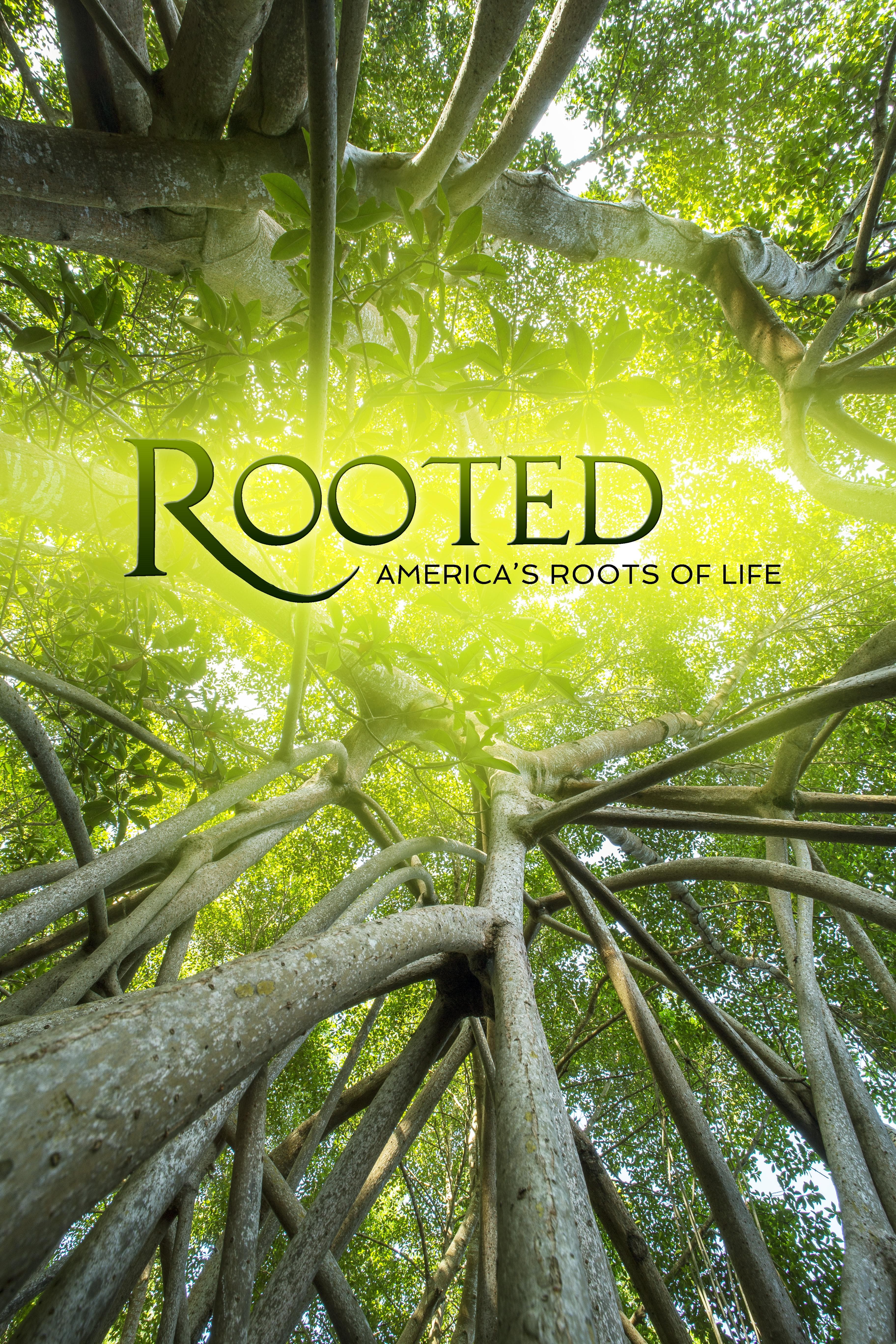 Roots of Life S1-S2