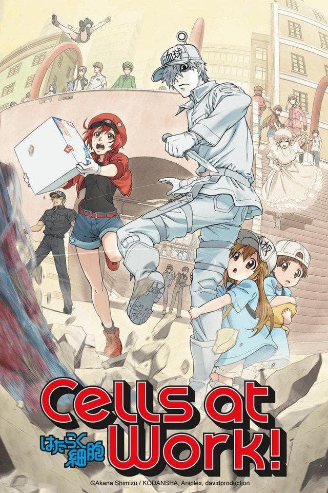 Cells at Work! [English] S1-S2