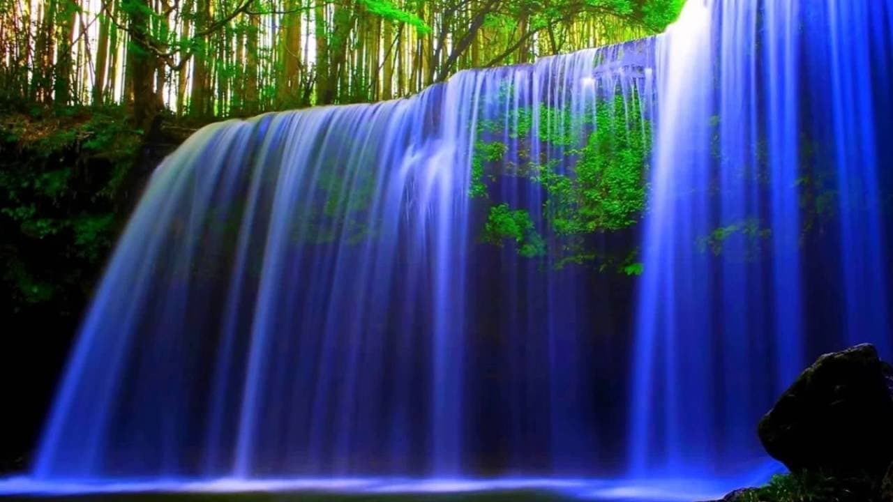 Solomon Lange  MY OFFERING