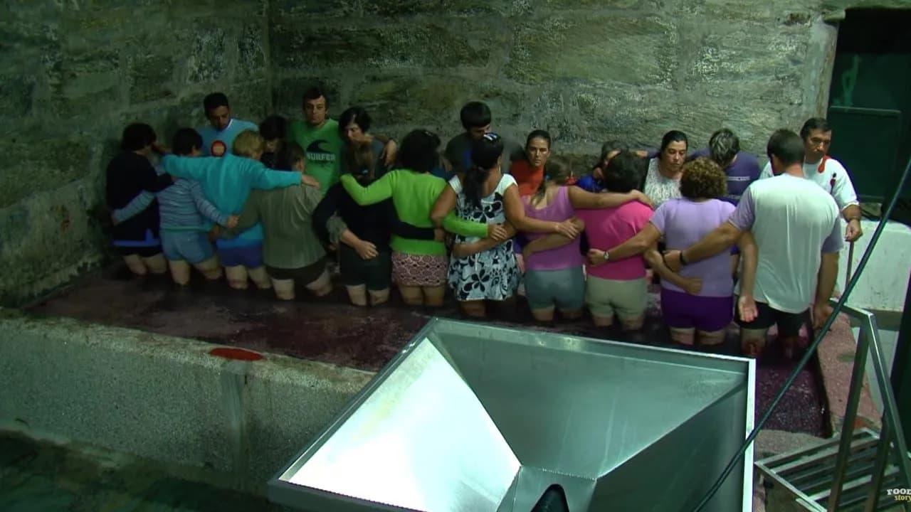 Porto : Un Vin Antique Né dans la Haute Vallée du Douro | Documentaire