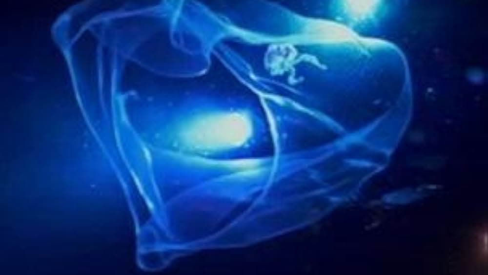 Anatoly M. Sagalevitch