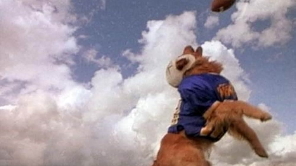 Brittany Paige Bouck