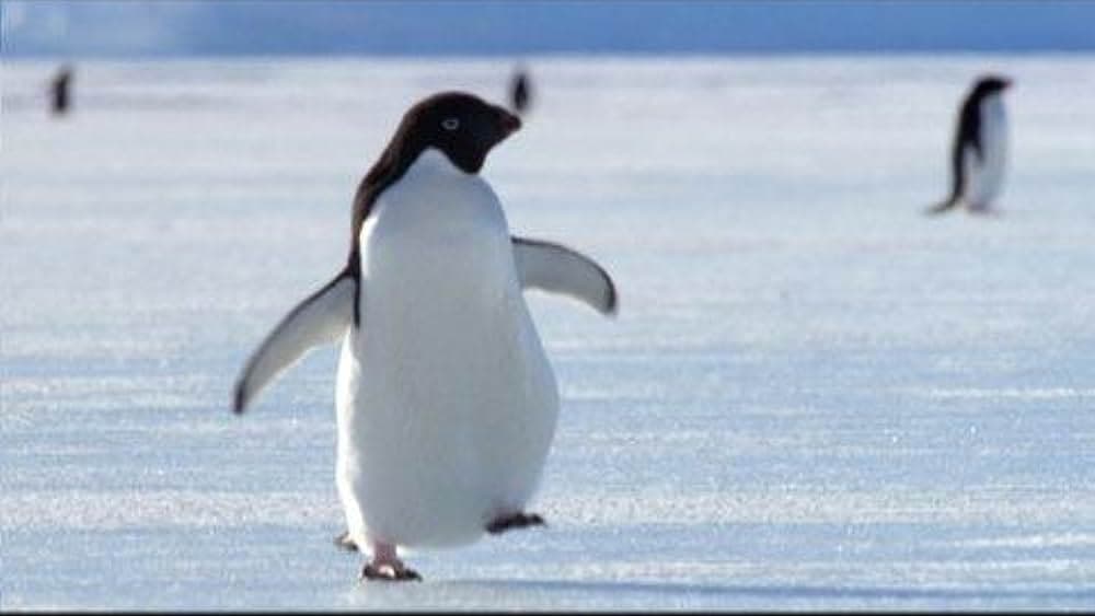 Richard Brooks Burton