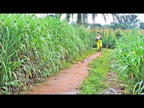 Le Petit Enfant Que Dieu Avait Lhabitude Dessuyer Les Larmes Des Yeux De Sa Mère - Film Nigérian