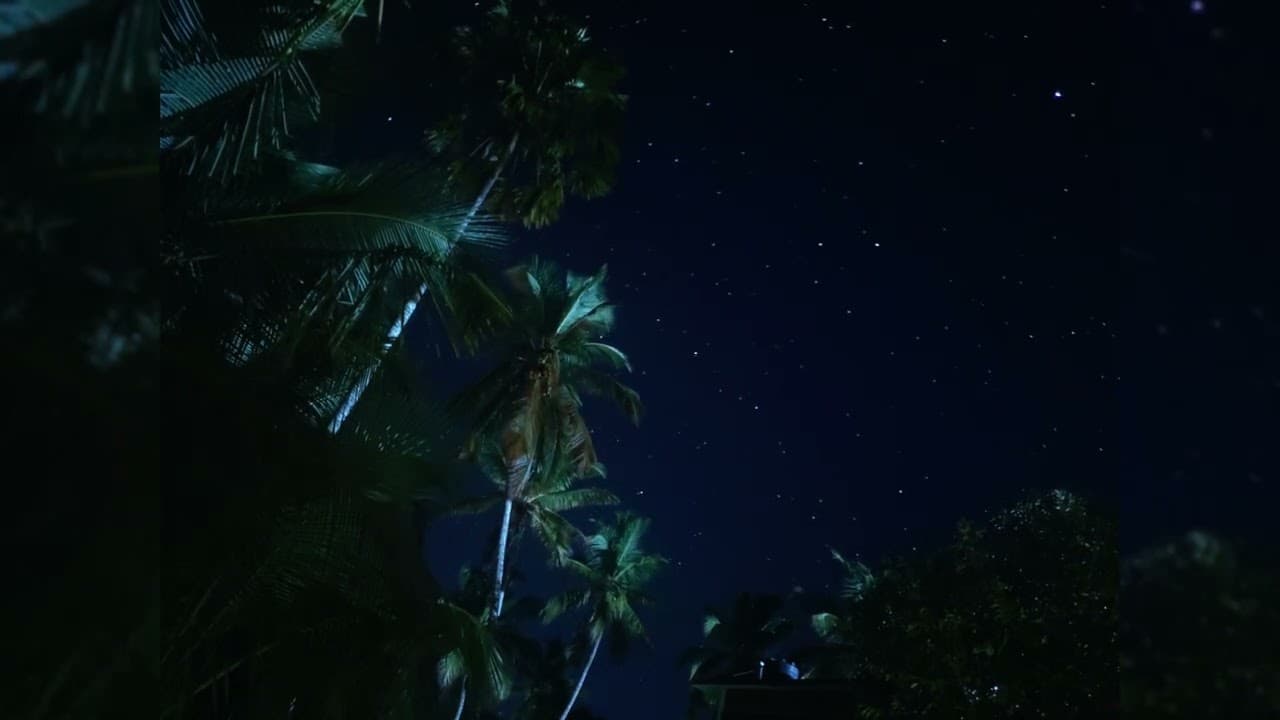 1 Hour of R&B Mix Female R&B Music Playlist Kehlani, Summer Walker, SZA, Jhene Aiko, Rihanna, & more