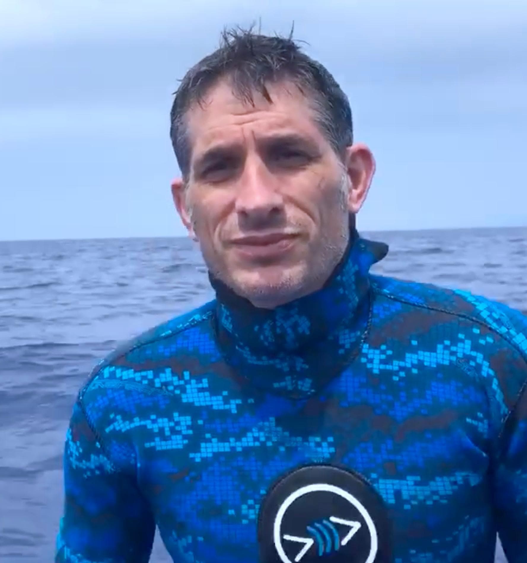 Yannis P. Papastamatiou