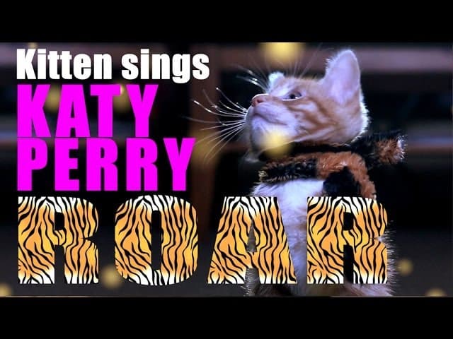 Katy Perry - Roar Parody - Kitty Purry - Meow