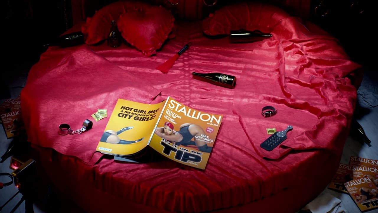 Megan Thee Stallion - Do It On The Tip (feat. City Girls & Hot Girl Meg) [Official Audio]