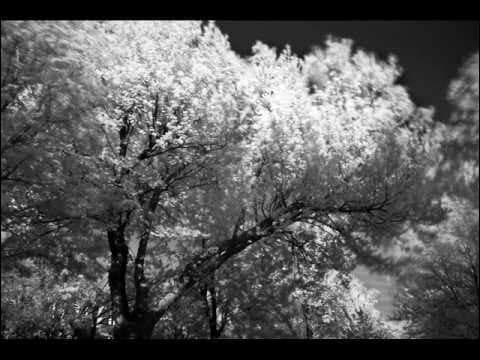 Sky Dancing - Patrick Watson