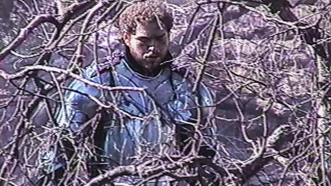 Post Malone - Circles (Official Audio)