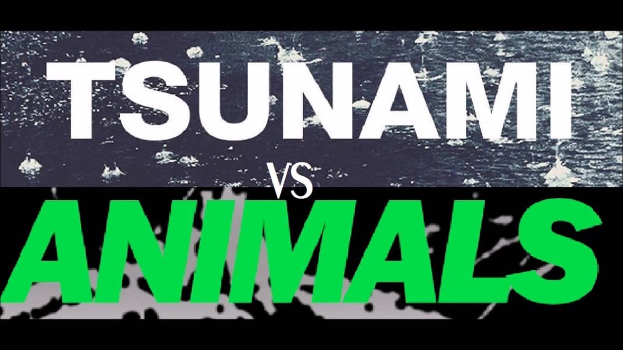 Martin Garrix Animals Vs. DVBBS Tsunami