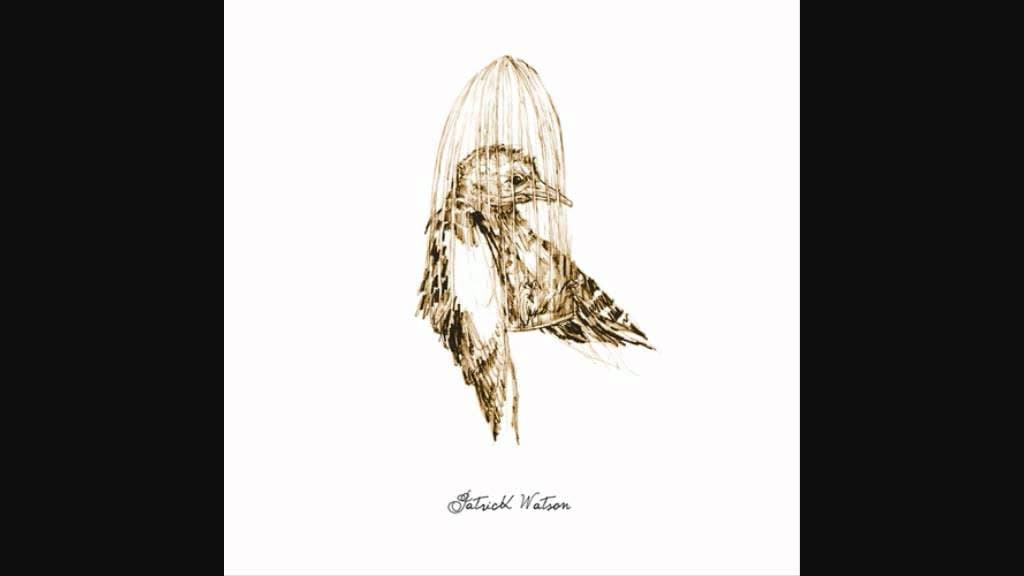 Patrick Watson - Big Bird in a Small Cage