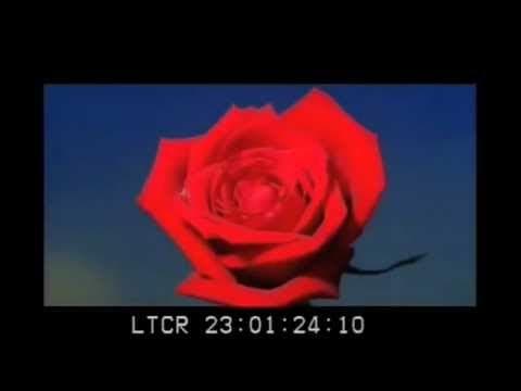 LANA DEL REY - CARMEN