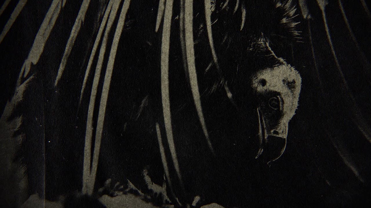 twenty one pilots - The Hype (Official Audio)