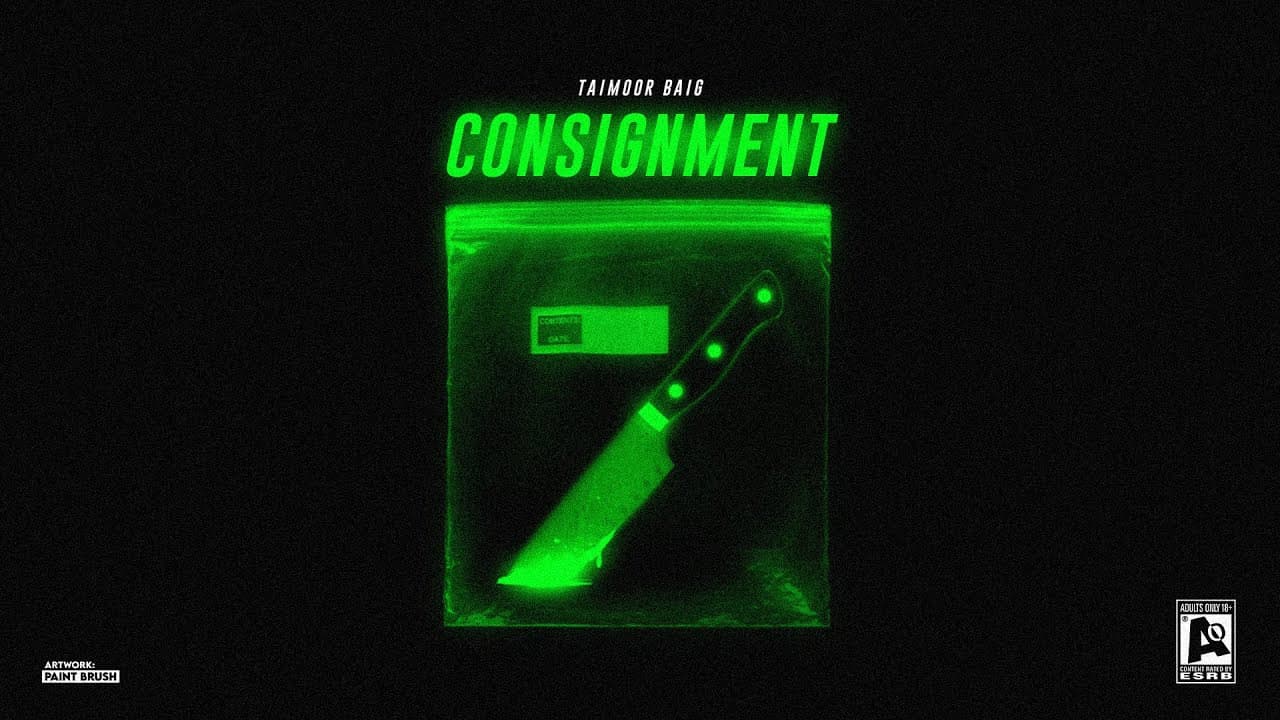 CONSIGNMENT - TAIMOUR BAIG ft. Umer Anjum | Prod. Raffey Anwar (Official Audio)
