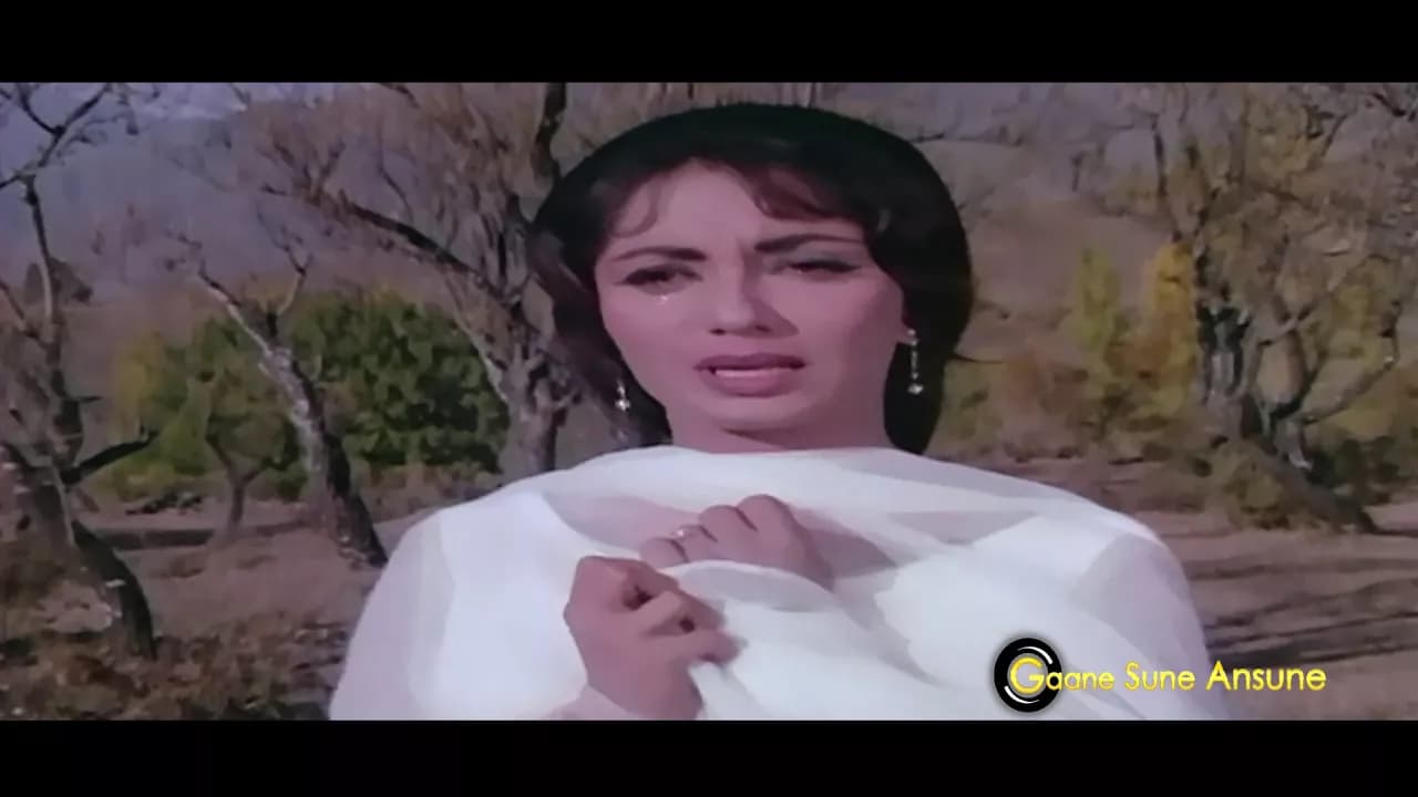 Bedardi Balma Tujhko | Lata Mangeshkar | Arzoo 1965 Songs | Sadhana, Rajendra Kumar