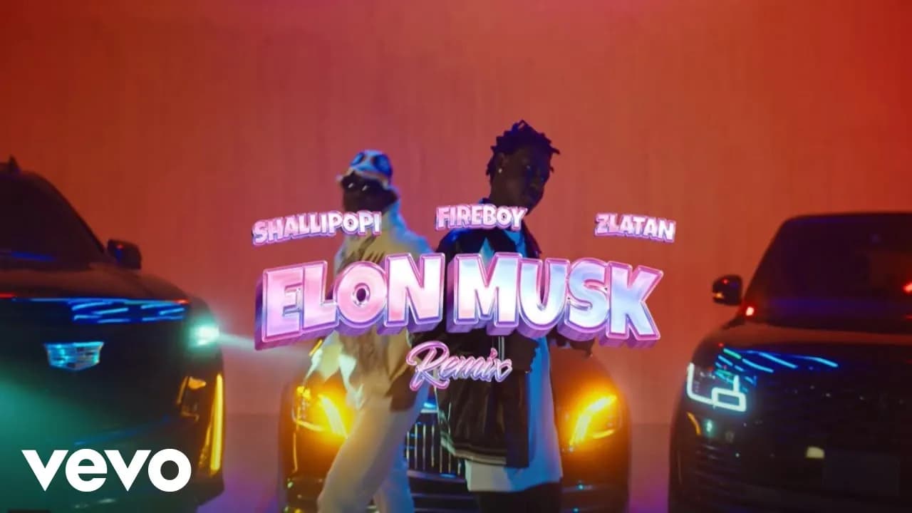 Shallipopi, Zlatan, Fireboy DML - Elon Musk (Remix) (Official Video)
