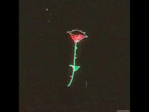 trippie redd ~ wish ﾉ slowed + reverb ﾉ