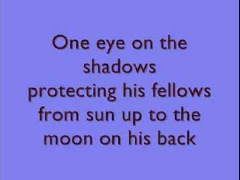 Robbie Williams - Man For All Seasons - Lyrics