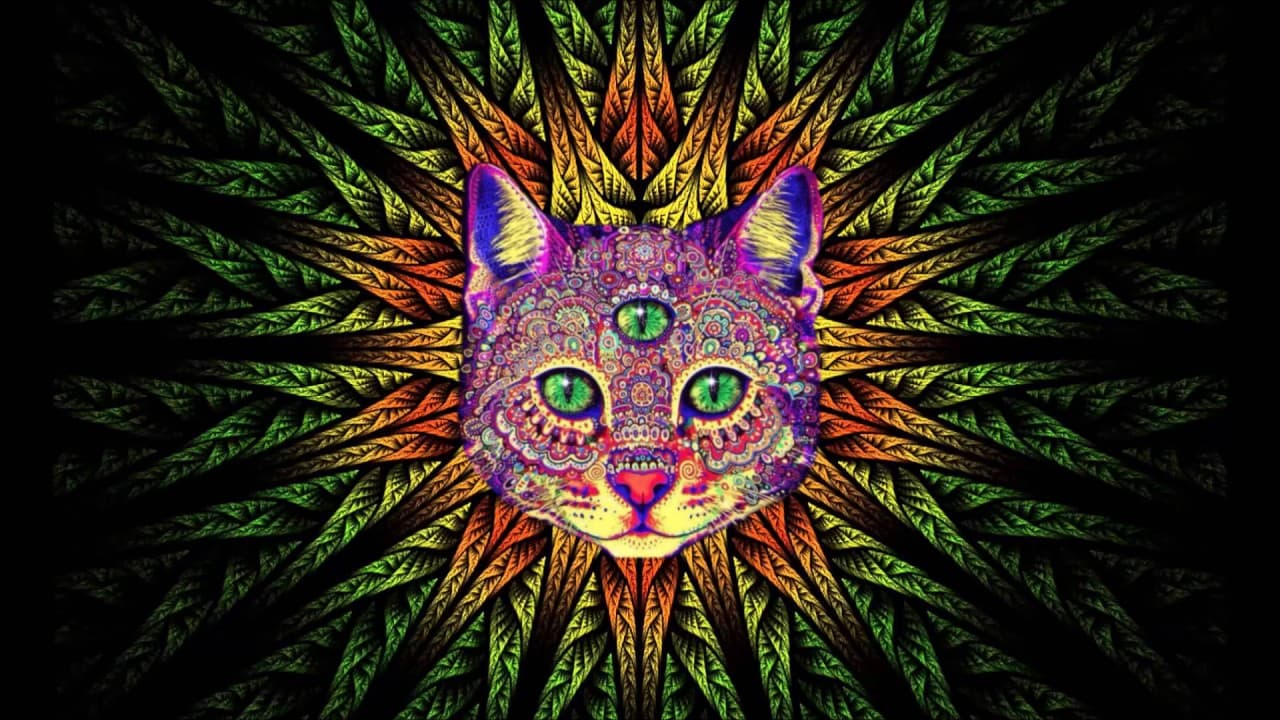 Best Rave/Party Songs Mix #1: PSY TRANCE, MINIMAL, GOA TRANCE, HEAVY BASS (song list in description)