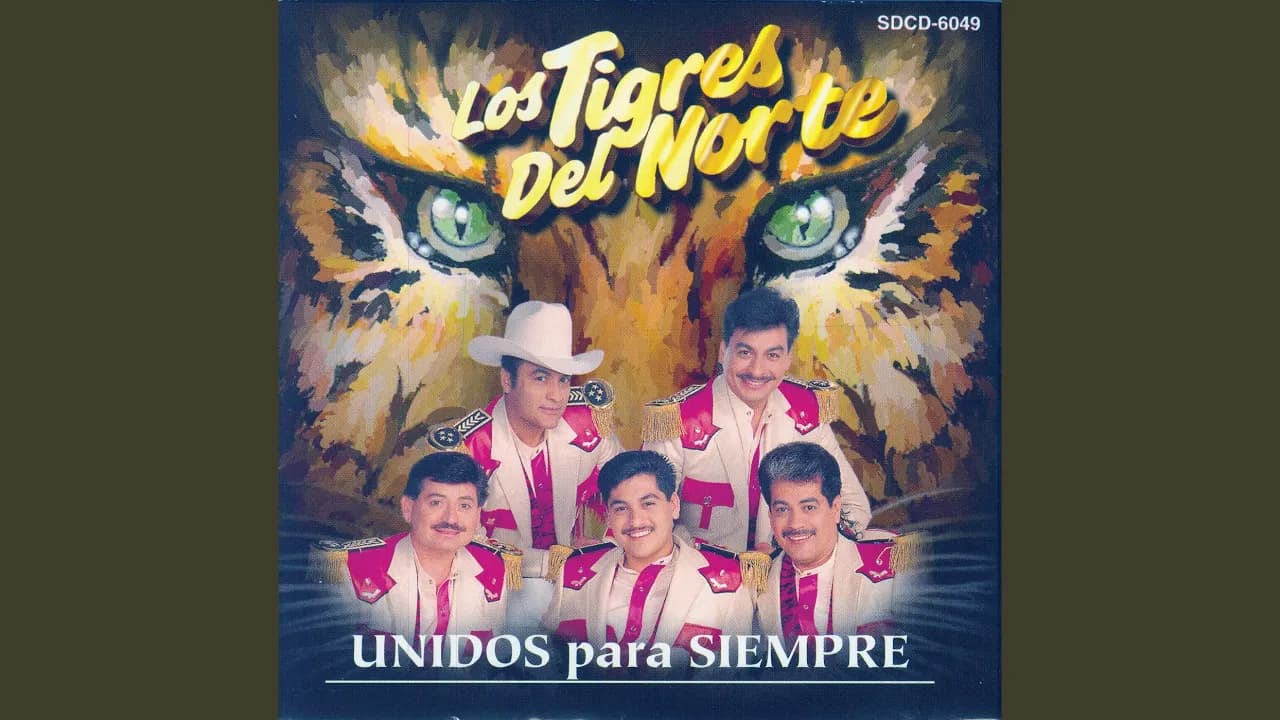 No Pude Enamorarme Mas