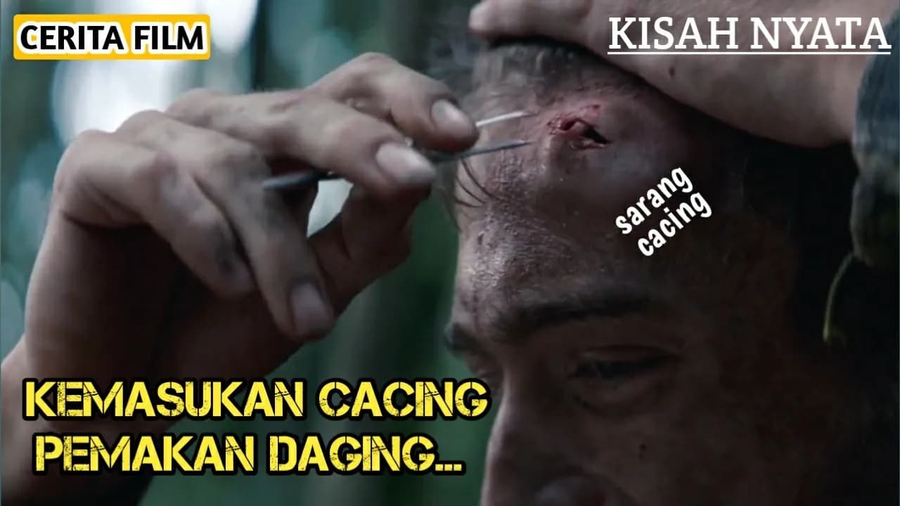 TERSESAT DAN BERTAHAN HIDUP SENDIRIAN DI HUTAN AMAZON || ALUR CERITA FILM JUNGLE (2017)