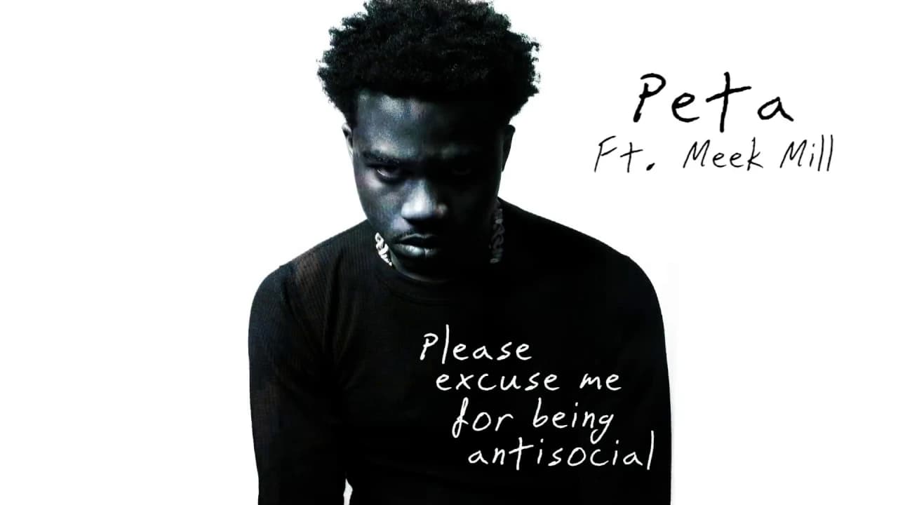 Roddy Ricch - Peta (feat. Meek Mill) [Official Audio]